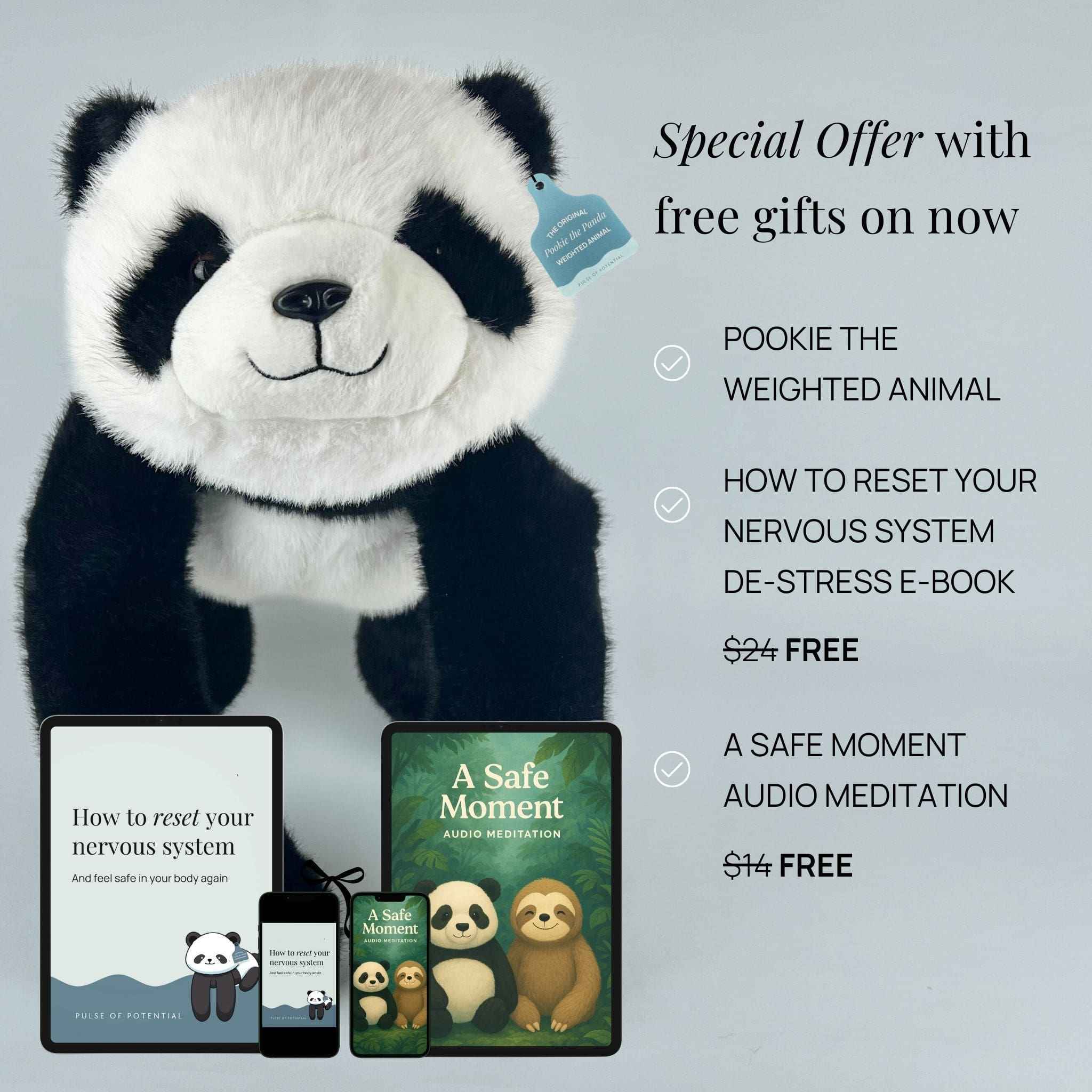 Pookie the Panda Weighted Animal for Valentine's Day - Image 9