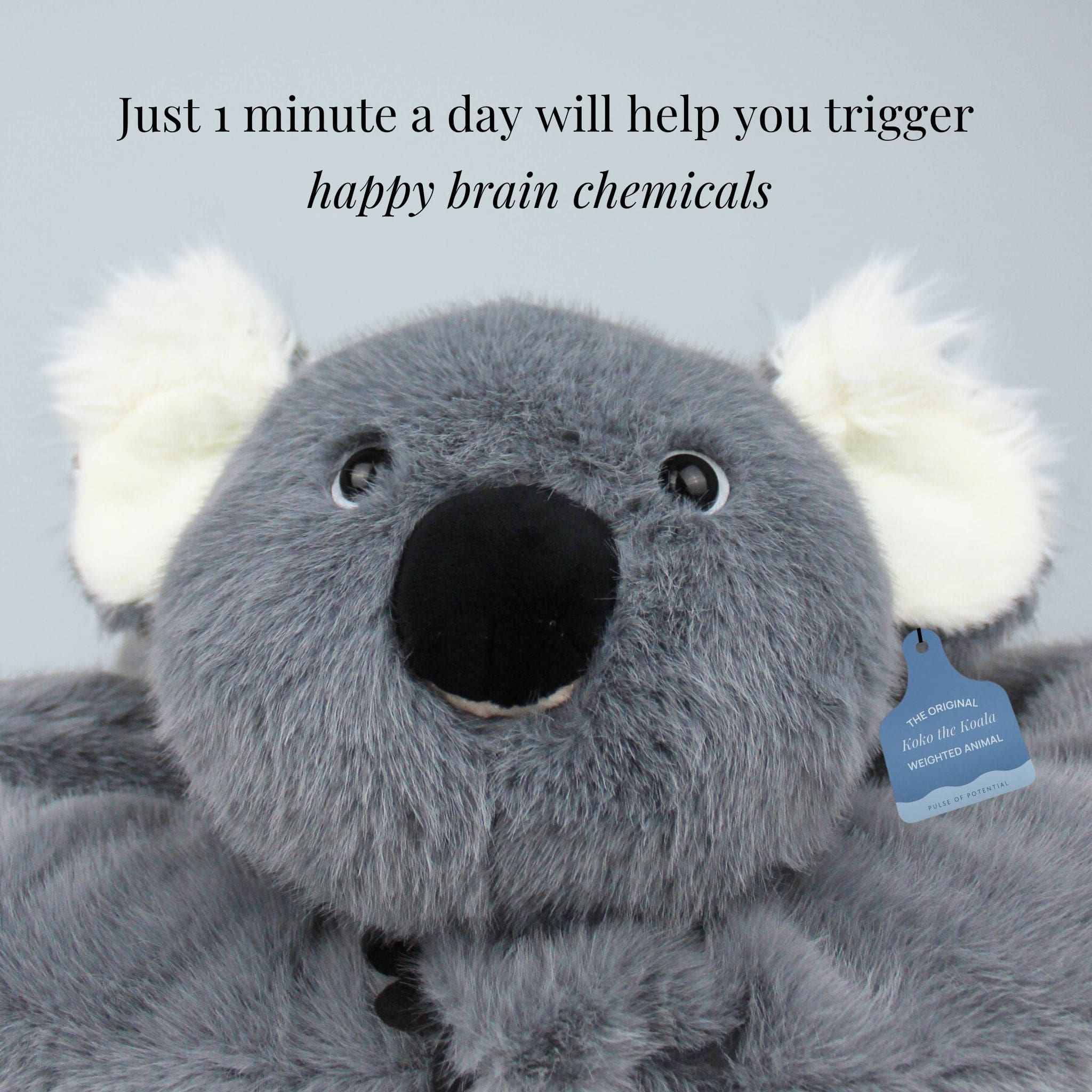 Koko the Koala Weighted Animal - Image 6
