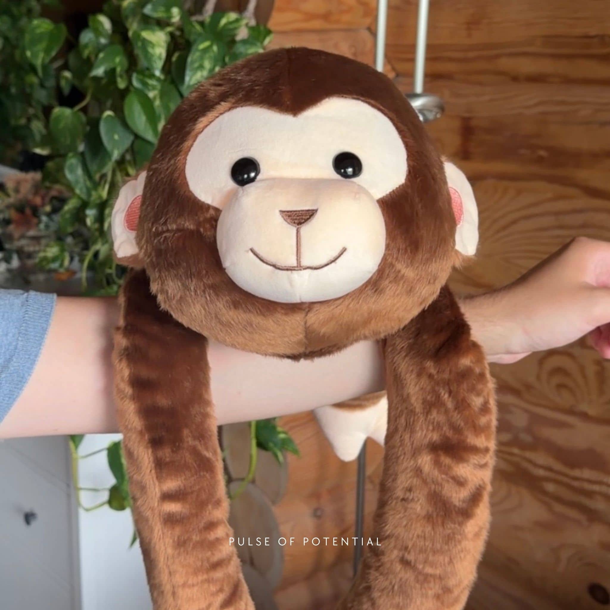 Marty the Monkey Weighted Animal - Image 15