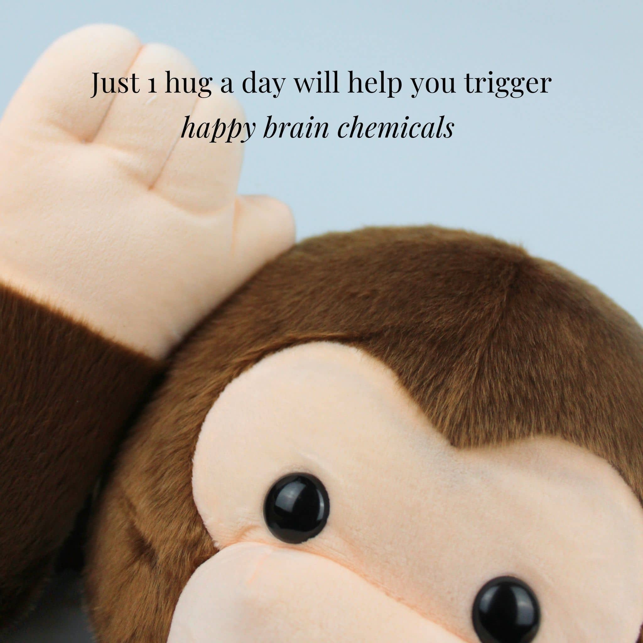 Marty the Monkey Weighted Animal - Image 7