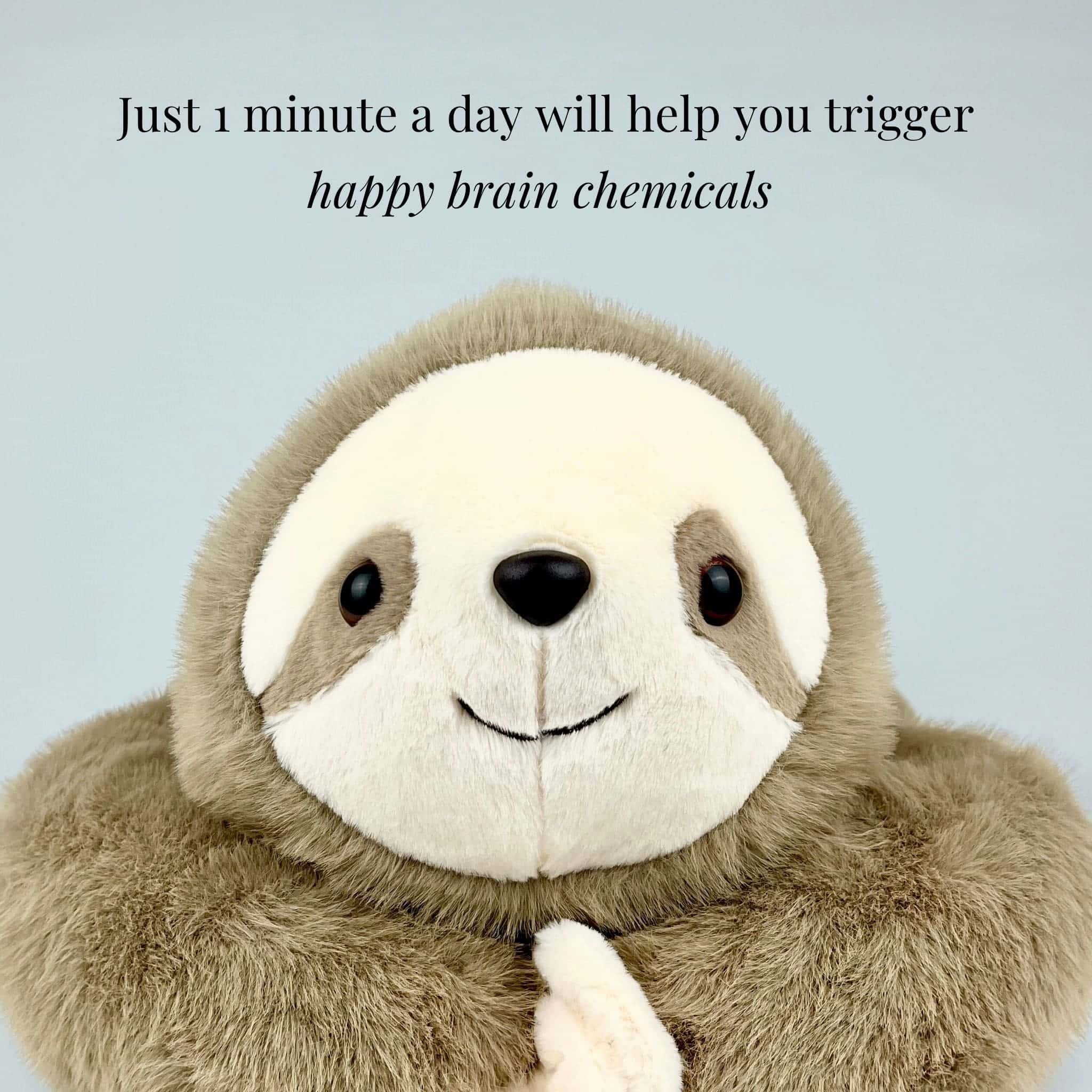 Sunnie the Sloth Weighted Animal - Image 7